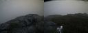 ./images/calvert/buxton2/20200903/buxton220200903_065003M.jpg