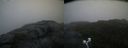 ./images/calvert/buxton2/20200903/buxton220200903_071503M.jpg