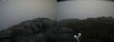 ./images/calvert/buxton2/20200903/buxton220200903_084003M.jpg