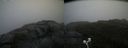 ./images/calvert/buxton2/20200903/buxton220200903_085003M.jpg