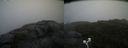 ./images/calvert/buxton2/20200903/buxton220200903_101003M.jpg
