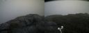 ./images/calvert/buxton2/20200903/buxton220200903_101503M.jpg