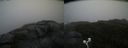 ./images/calvert/buxton2/20200903/buxton220200903_102503M.jpg