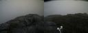 ./images/calvert/buxton2/20200903/buxton220200903_104502M.jpg