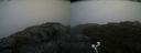 ./images/calvert/buxton2/20200903/buxton220200903_114003M.jpg