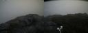 ./images/calvert/buxton2/20200903/buxton220200903_115002M.jpg