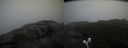 ./images/calvert/buxton2/20200903/buxton220200903_122002M.jpg