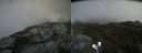 ./images/calvert/buxton2/20200903/buxton220200903_154003M.jpg