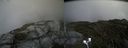 ./images/calvert/buxton2/20200903/buxton220200903_163502M.jpg