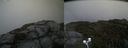 ./images/calvert/buxton2/20200903/buxton220200903_164502M.jpg