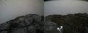 ./images/calvert/buxton2/20200903/buxton220200903_165002M.jpg