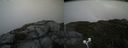 ./images/calvert/buxton2/20200903/buxton220200903_172502M.jpg