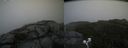 ./images/calvert/buxton2/20200903/buxton220200903_185502M.jpg