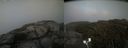 ./images/calvert/buxton2/20200903/buxton220200903_191502M.jpg