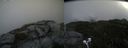 ./images/calvert/buxton2/20200905/buxton220200905_115502M.jpg