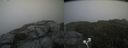 ./images/calvert/buxton2/20200905/buxton220200905_155503M.jpg
