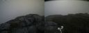 ./images/calvert/buxton2/20200906/buxton220200906_100503M.jpg