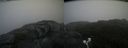 ./images/calvert/buxton2/20200906/buxton220200906_160003M.jpg