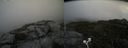 ./images/calvert/buxton2/20200912/buxton220200912_140503M.jpg