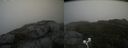 ./images/calvert/buxton2/20200913/buxton220200913_090502M.jpg