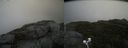 ./images/calvert/buxton2/20200913/buxton220200913_110503M.jpg