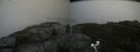./images/calvert/buxton2/20200913/buxton220200913_111003M.jpg