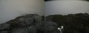 ./images/calvert/buxton2/20200913/buxton220200913_111503M.jpg