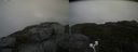 ./images/calvert/buxton2/20200913/buxton220200913_112003M.jpg