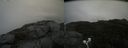 ./images/calvert/buxton2/20200913/buxton220200913_113502M.jpg