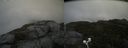 ./images/calvert/buxton2/20200913/buxton220200913_115002M.jpg