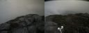 ./images/calvert/buxton2/20200913/buxton220200913_160503M.jpg