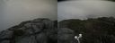 ./images/calvert/buxton2/20200913/buxton220200913_161503M.jpg