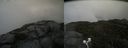 ./images/calvert/buxton2/20200913/buxton220200913_162003M.jpg