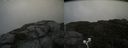 ./images/calvert/buxton2/20200913/buxton220200913_164503M.jpg