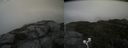 ./images/calvert/buxton2/20200913/buxton220200913_165503M.jpg