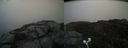./images/calvert/buxton2/20200913/buxton220200913_182003M.jpg