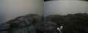 ./images/calvert/buxton2/20200913/buxton220200913_182503M.jpg