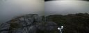 ./images/calvert/buxton2/20200914/buxton220200914_072003M.jpg