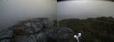./images/calvert/buxton2/20200914/buxton220200914_074503M.jpg