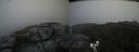 ./images/calvert/buxton2/20200917/buxton220200917_095502M.jpg