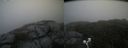 ./images/calvert/buxton2/20200917/buxton220200917_100502M.jpg