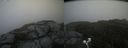 ./images/calvert/buxton2/20200917/buxton220200917_102502M.jpg