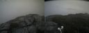 ./images/calvert/buxton2/20200918/buxton220200918_144502M.jpg