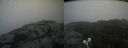 ./images/calvert/buxton2/20200918/buxton220200918_165002M.jpg