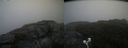 ./images/calvert/buxton2/20200919/buxton220200919_085503M.jpg