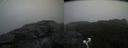 ./images/calvert/buxton2/20200919/buxton220200919_090503M.jpg