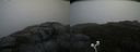 ./images/calvert/buxton2/20200919/buxton220200919_095503M.jpg