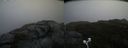 ./images/calvert/buxton2/20200919/buxton220200919_100003M.jpg
