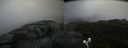 ./images/calvert/buxton2/20200919/buxton220200919_113503M.jpg