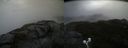 ./images/calvert/buxton2/20200919/buxton220200919_115003M.jpg
